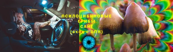 а пвп мука Бугульма