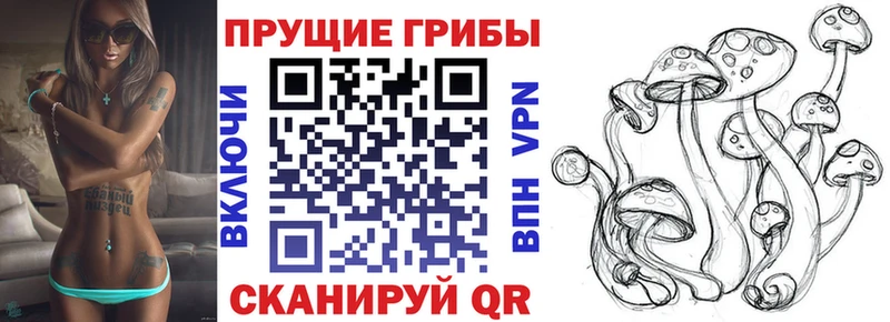 Псилоцибиновые грибы GOLDEN TEACHER  Нурлат 